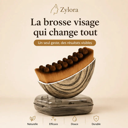 Brosse de Drainage Lymphatique Visage